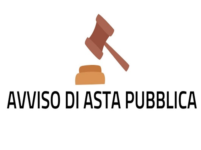 Avviso ASTA PUBBLICA terreni via delle Selve Nuove