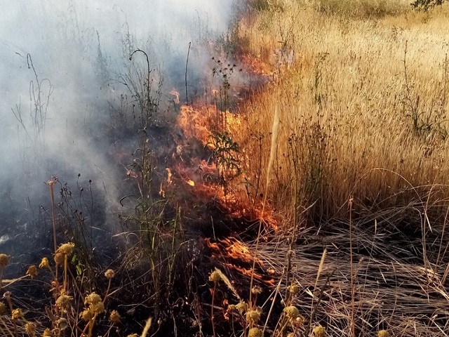 Misure di prevenzione rischio incendi boschivi - Ordinanza anno 2025