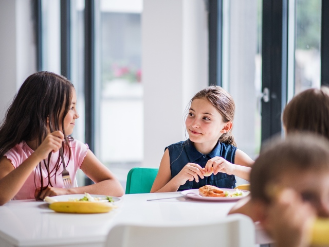 Ciampino, Amministrazione al lavoro per pre e post scuola