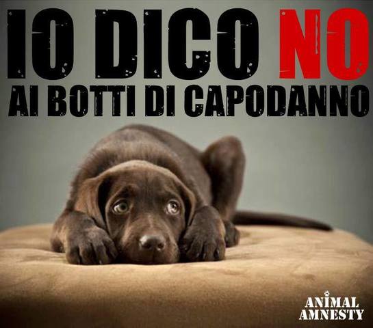 #NOAIBOTTIDICAPODANNO