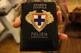 Approvata a Ciampino la convenzione per il servizio delle Guardie Zoofile Volontarie