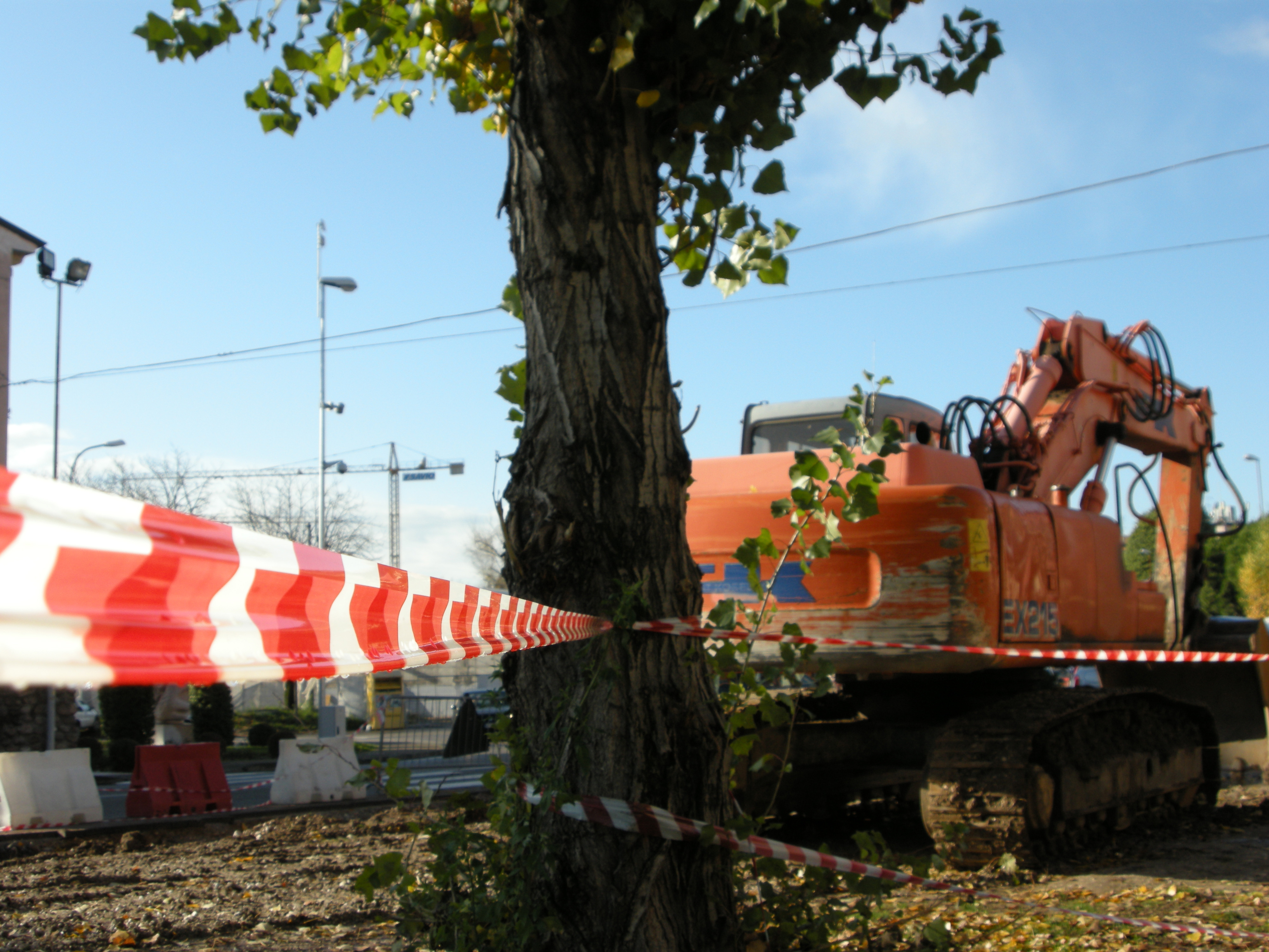 Fino al 08/04/2016 divieto di sosta per i lavori su alberature in via Bruxelles/Grandi/Brodolini/Biroli